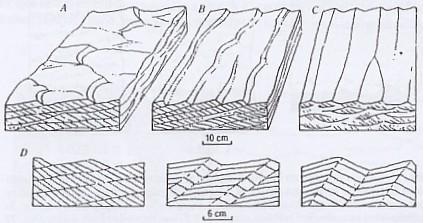 Gambar 2. Ripple structures : a. linguoid curret ripples, b. transverse curret ripples, c. oscilation (wave) ripples, d. ripple-drift bed.