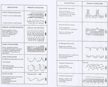 Gambar 5. Struktur sedimen yang digunakan untuk penentuan top dan bottom.
